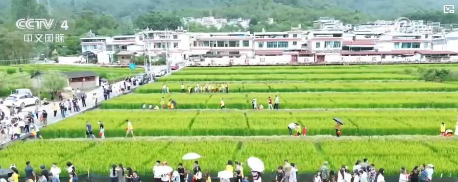 旅游市场持续火爆 文旅消费活力足人气旺
