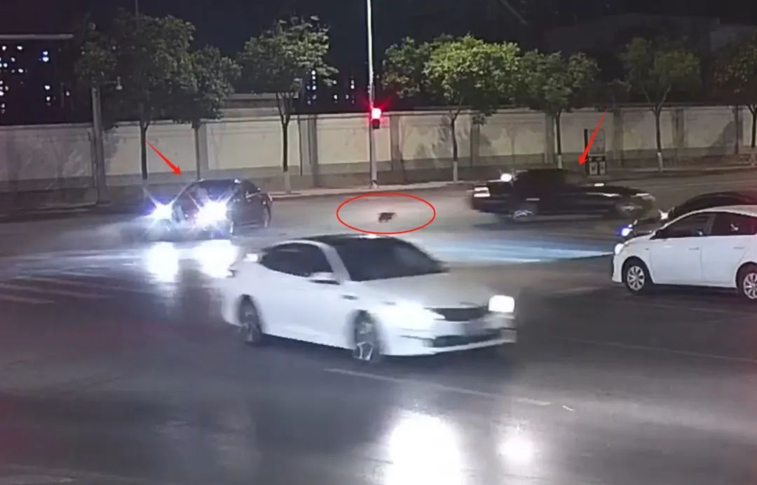 醉驾上路,撞了两次逃了两次,最后躲草丛睡觉!刑拘! 醉驾上路,撞了两次逃了两次,最后躲草丛睡觉!刑拘!