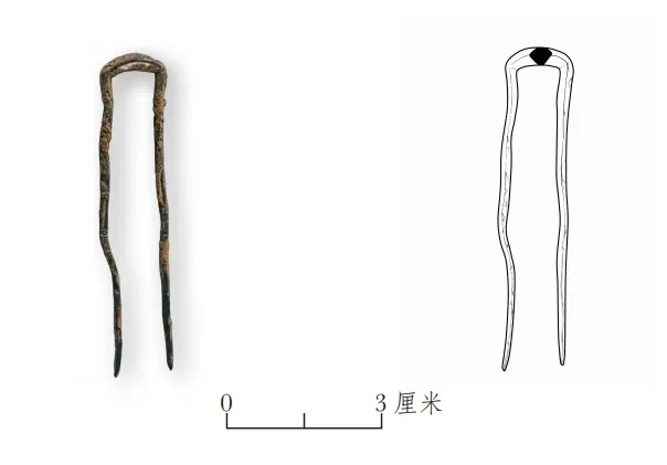 资料公布!山西长治唐代申屠氏合葬墓发掘最新成果 资料公布!山西长治唐代申屠氏合葬墓发掘最新成果