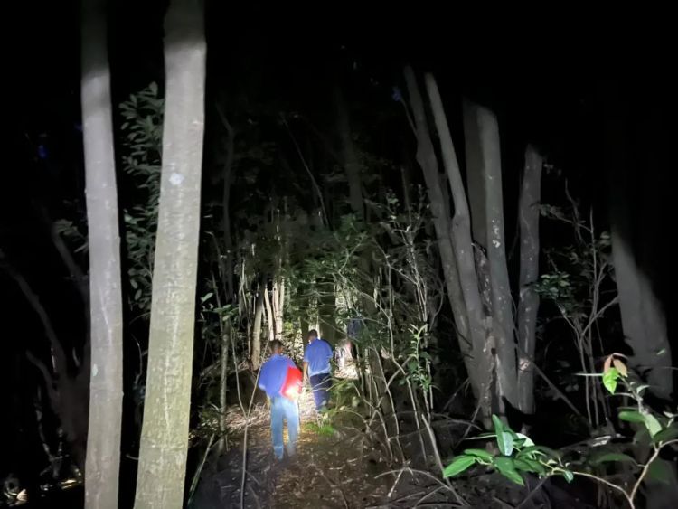 七旬老人深山走失！2小时成功搜救