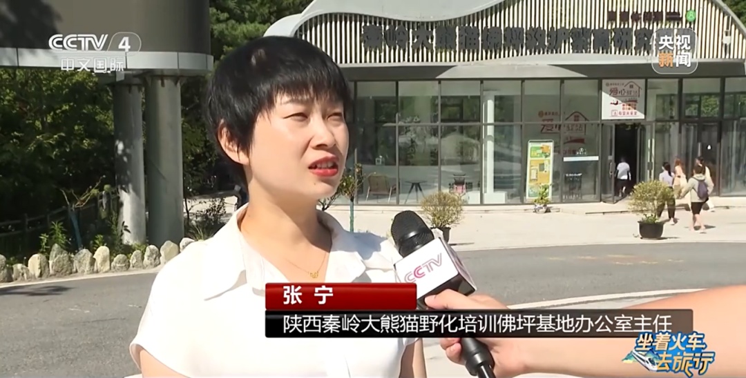 穿越！一小时横跨秦岭 熊猫朱鹮等你来！