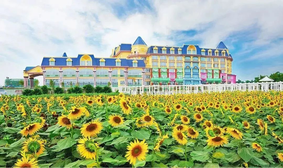 广州一景区深夜官宣:即日起闭园!街坊:这么突然? 广州一景区深夜官宣:即日起闭园!街坊:这么突然?