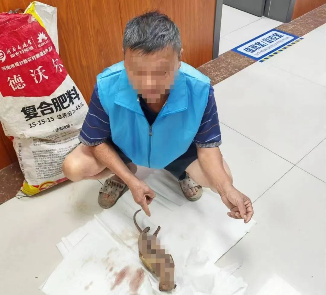 非法狩猎鼬獾，刑拘没商量！