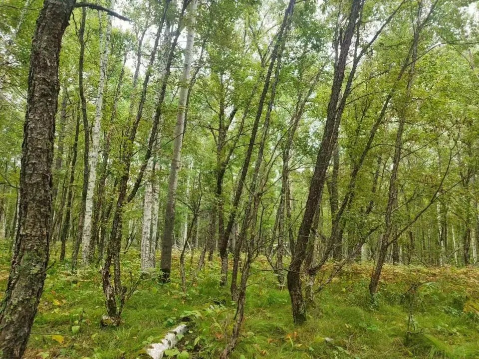 14天了!29岁男子工作地失踪,家属:凭空消失了一样 14天了!29岁男子工作地失踪,家属:凭空消失了一样