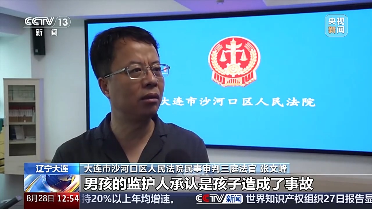 男孩骑平衡车撞人致残,父母赔16万 男孩骑平衡车撞人致残,父母赔16万