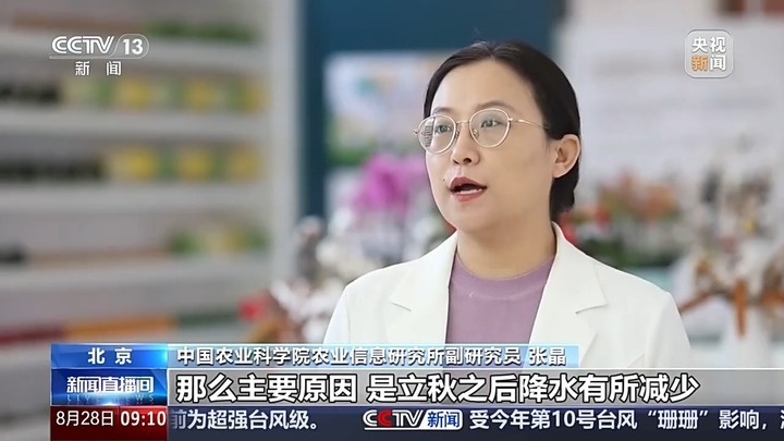 蔬菜价格开始回落啦！绿叶菜降价最快