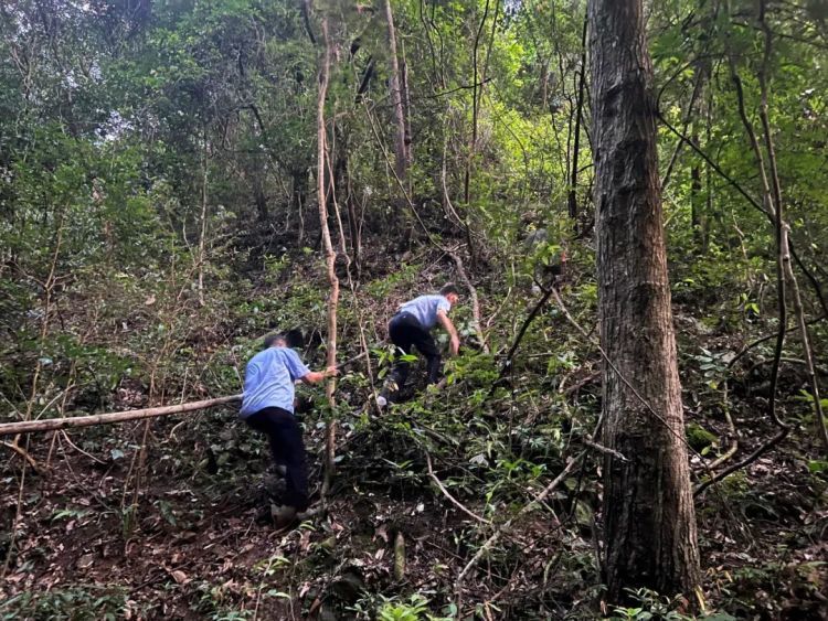 七旬老人深山走失！2小时成功搜救