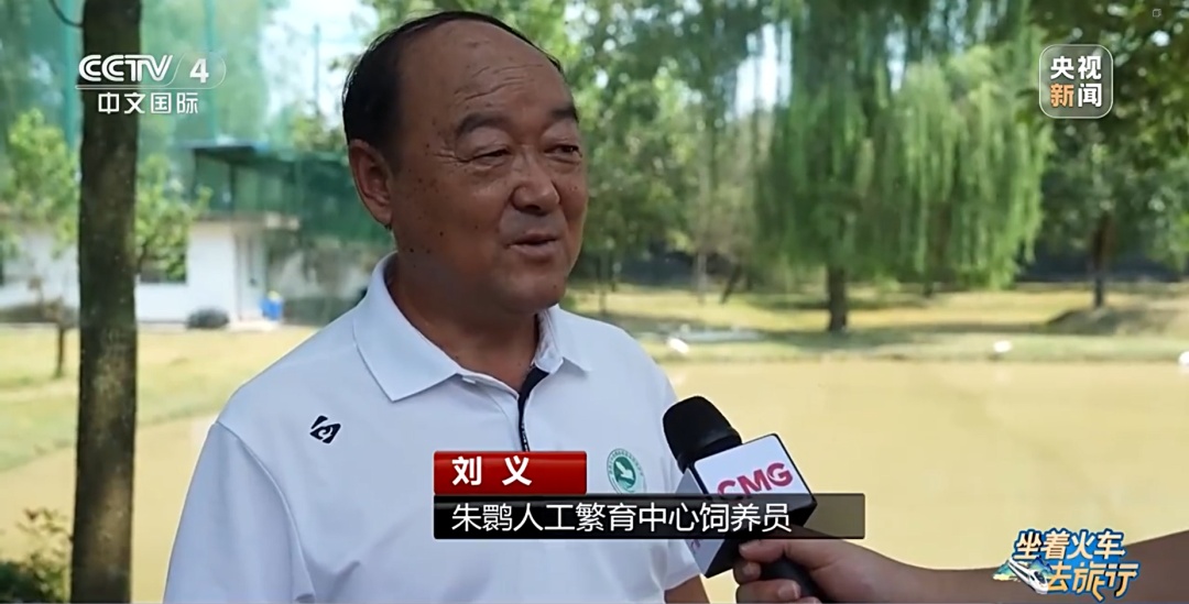 穿越！一小时横跨秦岭 熊猫朱鹮等你来！