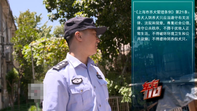 上海一村民养了78条流浪狗！邻居不堪其扰，多方力量介入，最新消息→
