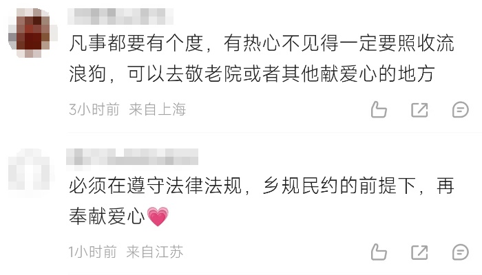 上海一村民养了78条流浪狗！邻居不堪其扰，多方力量介入，最新消息→