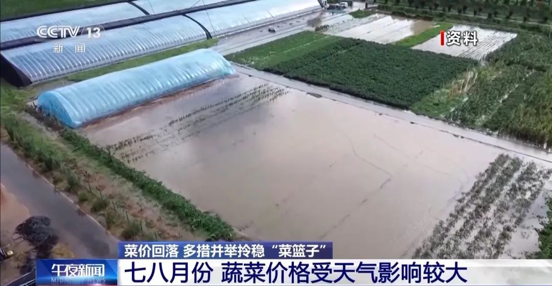 蔬菜价格开始回落多措并举拎稳“菜篮子”