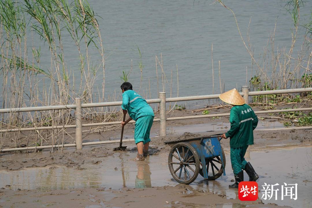 南京长江水退了,工人冒着高温清淤忙 南京长江水退了,工人冒着高温清淤忙