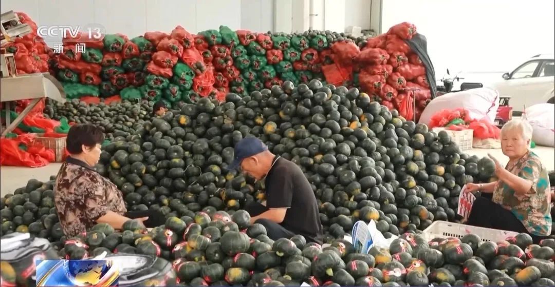 蔬菜价格开始回落多措并举拎稳“菜篮子”