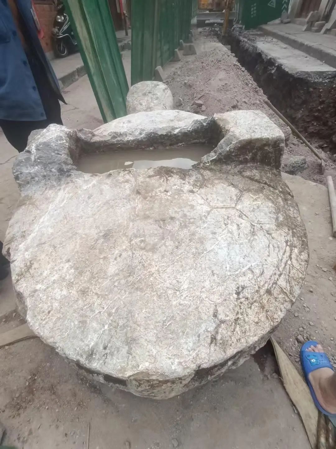湖南武冈一工地挖出一只数千斤重石龟，此前已发现两只，当地：正研究保护方案