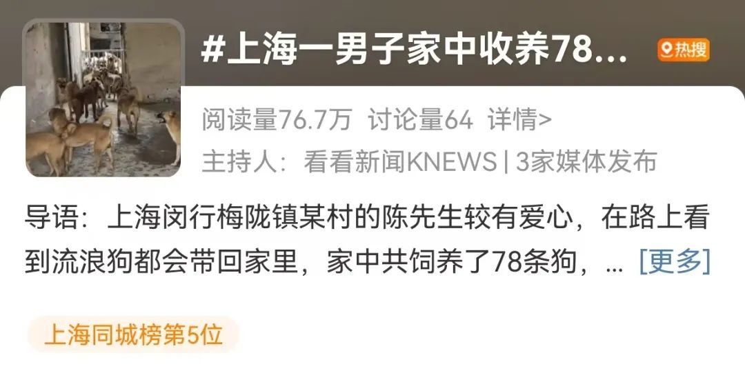 上海一村民养了78条流浪狗！邻居不堪其扰，多方力量介入，最新消息→