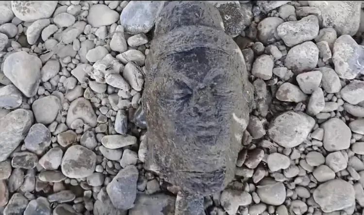 男子在龙门石窟附近“钓”到佛头？已在鉴定真伪！