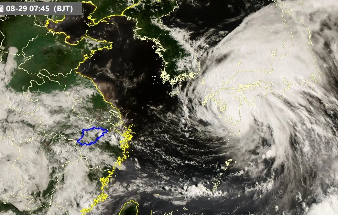 刚刚确认！影响杭州，接下来7天扎心了……