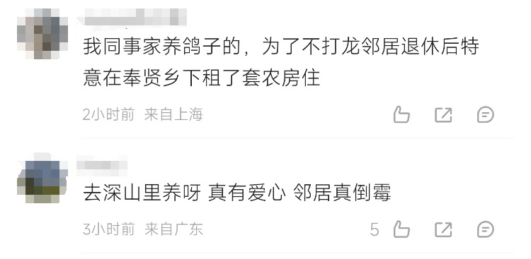 上海一村民养了78条流浪狗！邻居不堪其扰，多方力量介入，最新消息→