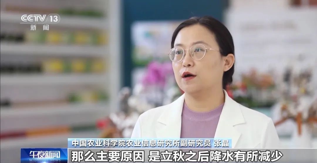 蔬菜价格开始回落多措并举拎稳“菜篮子”
