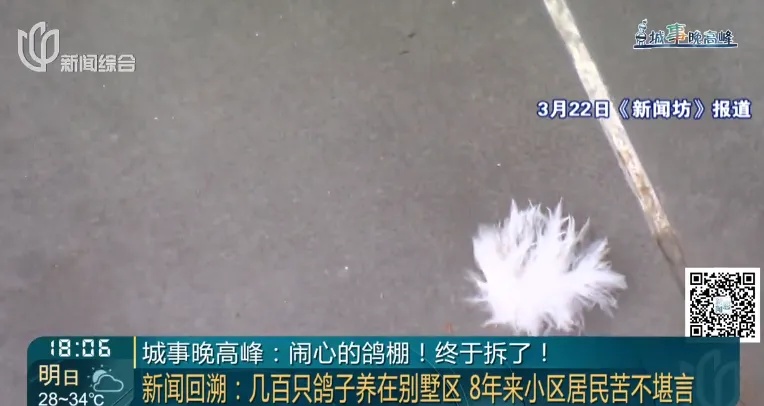 上海全市普查，60年来首次！这种严重扰民现象，你家附近有吗？