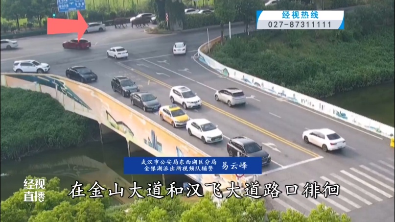 惊呆了!武汉马路上突然出现一群……交警:如果受到刺激,后果将不可控 惊呆了!武汉马路上突然出现一群……交警:如果受到刺激,后果将不可控