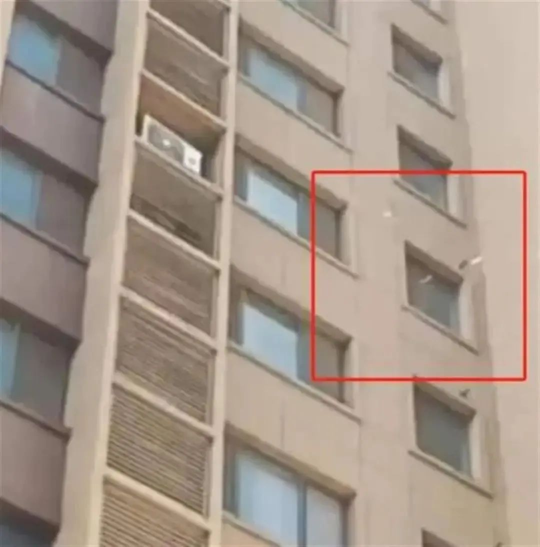 官方通报“女子撒钱后跳楼”：系精神疾病发作，钱已收集交其家属