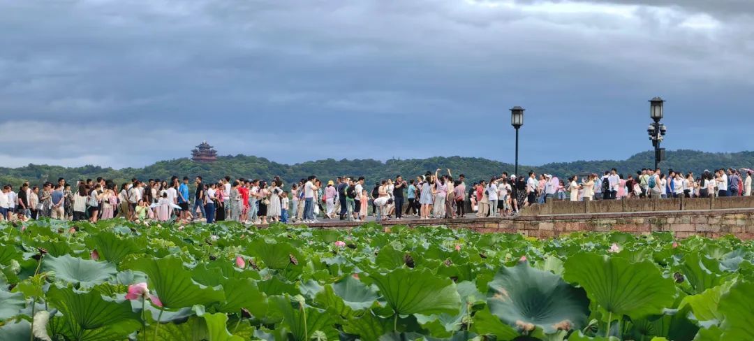 刚刚确认！影响杭州，接下来7天扎心了……