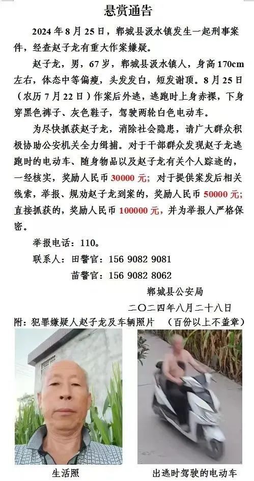 赵子龙，身高1米7，谢顶！河南警方悬赏10万抓捕，进展：仍在逃