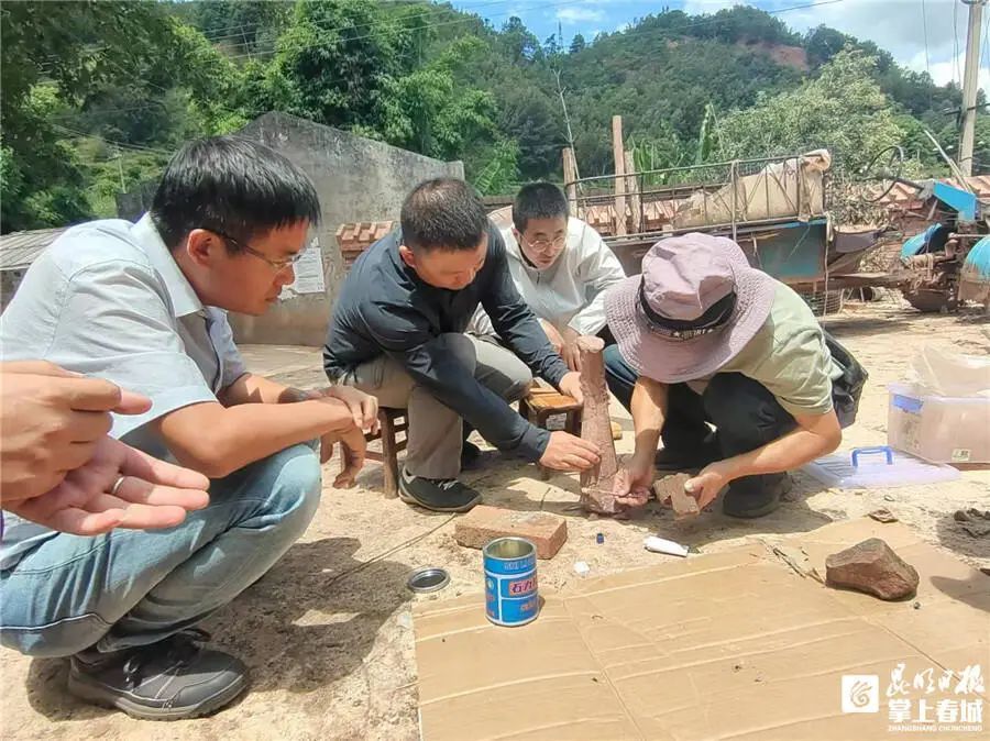 长约40厘米!昆明发现恐龙化石→ 长约40厘米!昆明发现恐龙化石→