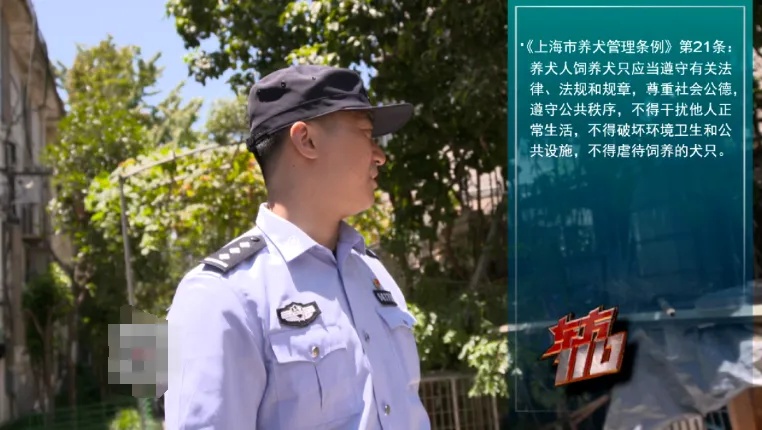 上海男子家中养78条狗，邻居苦不堪言…官方出手了→