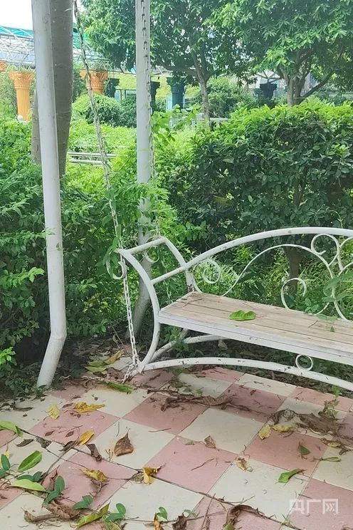 广州一“网红景点”官宣闭园，杂草丛生！记者实地探访→