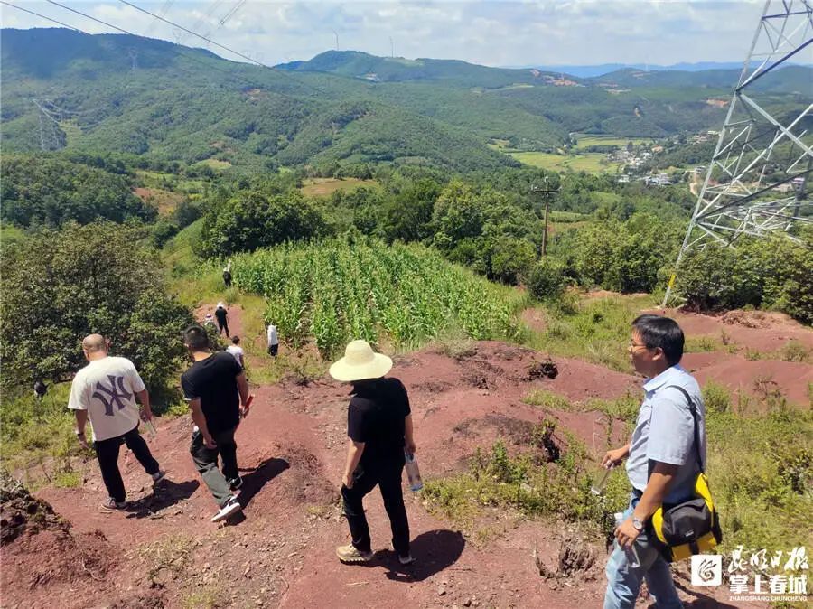 长约40厘米!昆明发现恐龙化石→ 长约40厘米!昆明发现恐龙化石→