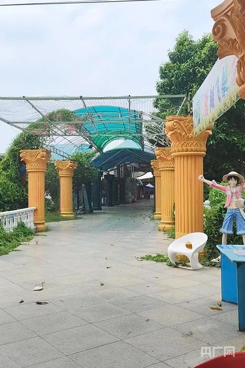 广州一“网红景点”官宣闭园，杂草丛生！记者实地探访→