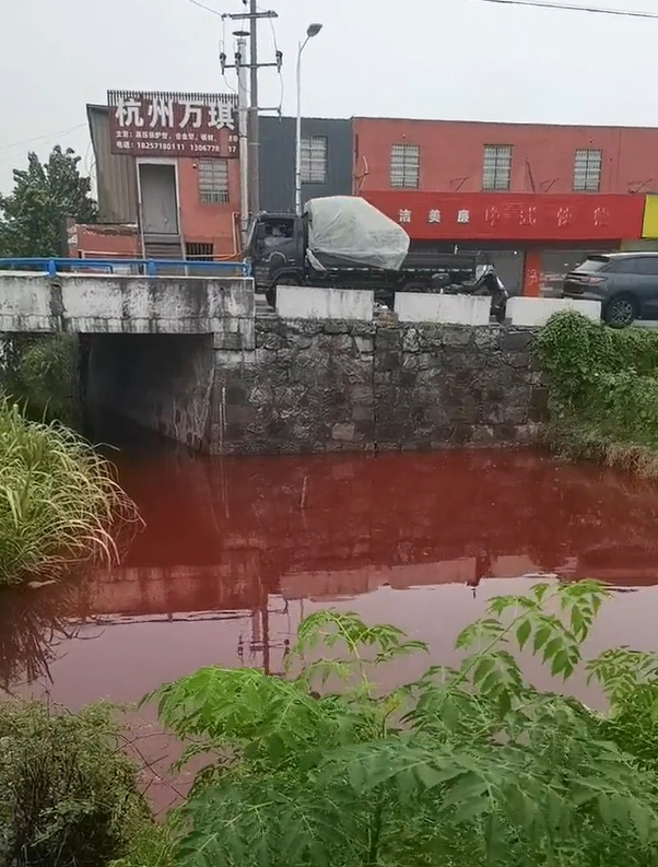 鲜红异常!杭州一河段河水变色,多方回应! 鲜红异常!杭州一河段河水变色,多方回应!