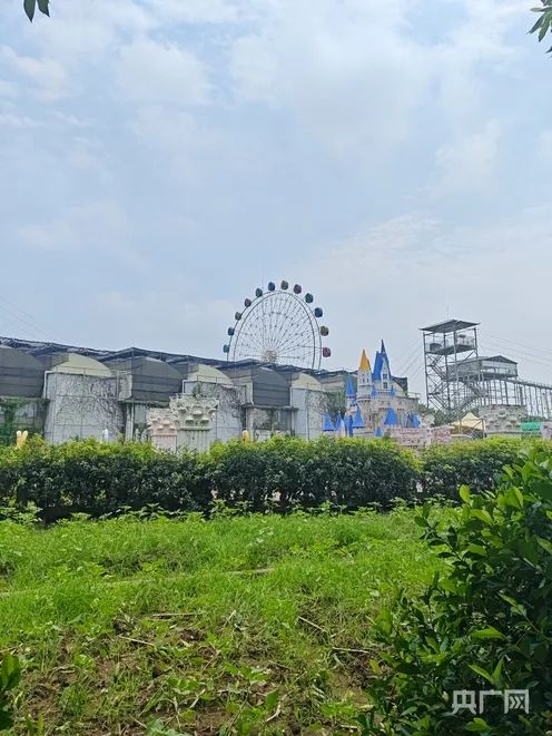 广州一“网红景点”官宣闭园，杂草丛生！记者实地探访→