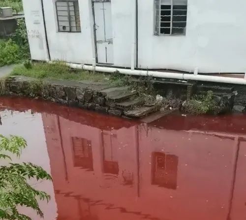 鲜红异常!杭州一河段河水变色,多方回应! 鲜红异常!杭州一河段河水变色,多方回应!