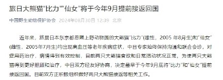 旅日大熊猫比力仙女将提前回国