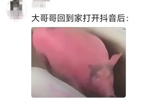 男子骑车不戴头盔，遭小交警“终生难忘”贴脸式喊话