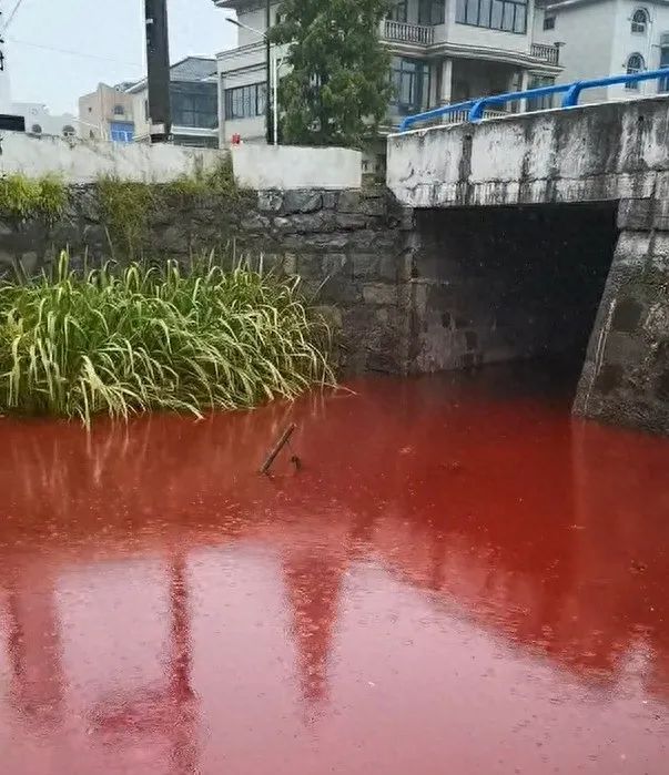 鲜红异常!杭州一河段河水变色,多方回应! 鲜红异常!杭州一河段河水变色,多方回应!