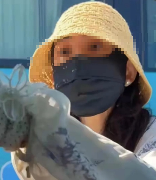 “逆行打你怎么了？”路虎女司机逆行还狂扇对向司机耳光后逃离，青岛警方：拘留10日