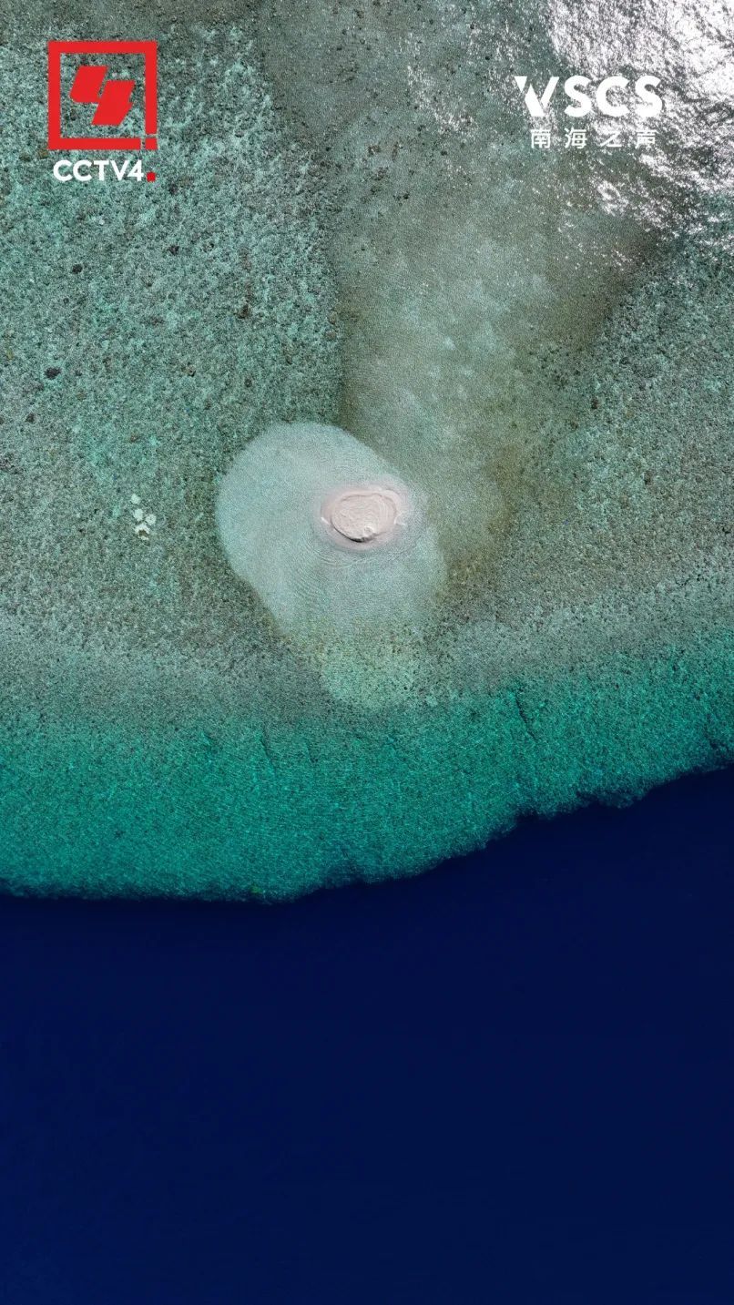 绝美“鱼鳞” 仙宾礁 每一帧都是壁纸 绝美“鱼鳞” 仙宾礁 每一帧都是壁纸