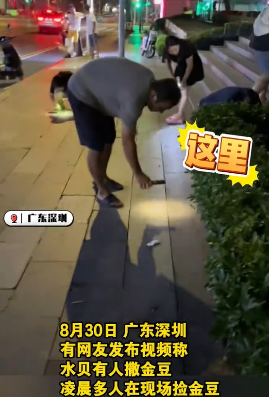 深圳水贝凌晨有人撒上千颗金豆？