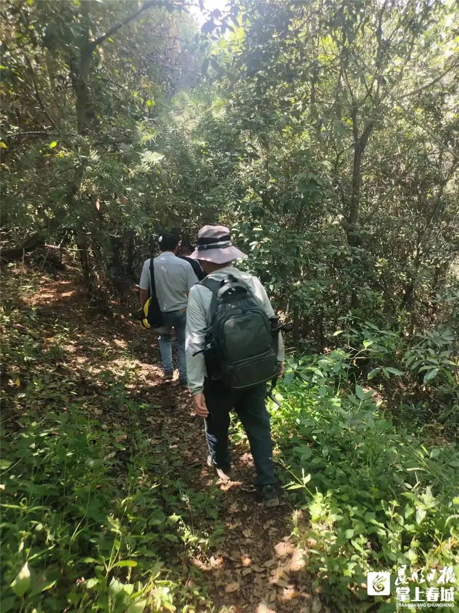 长约40厘米!昆明发现恐龙化石→ 长约40厘米!昆明发现恐龙化石→