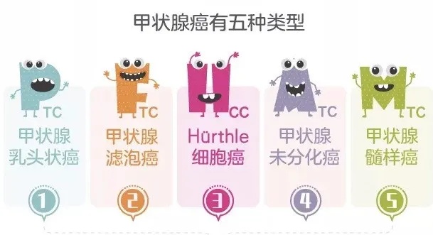 折翼的蝴蝶——甲状腺癌