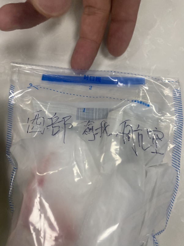 飞机座椅置物袋发现“带血湿纸巾”，女子报警！