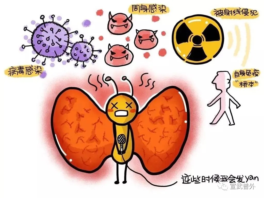 折翼的蝴蝶——甲状腺癌