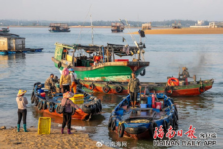 海南儋州海头镇开渔季，鱼满舱！