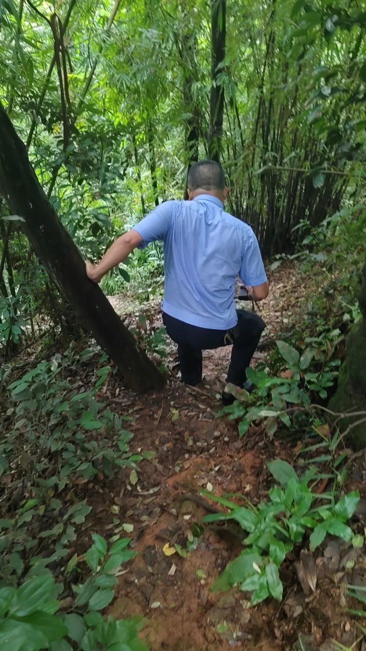 女子带孩子爬西樵山，却走这种野路，2公里后撞见这一幕，慌了……