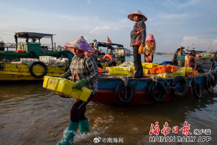 海南儋州海头镇开渔季，鱼满舱！