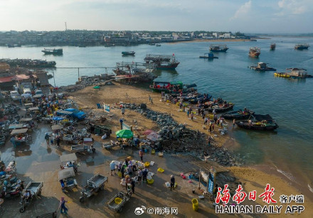 海南儋州海头镇开渔季，鱼满舱！